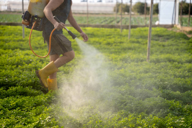 Best Best Pest Control Companies  in Lake Placid, FL
