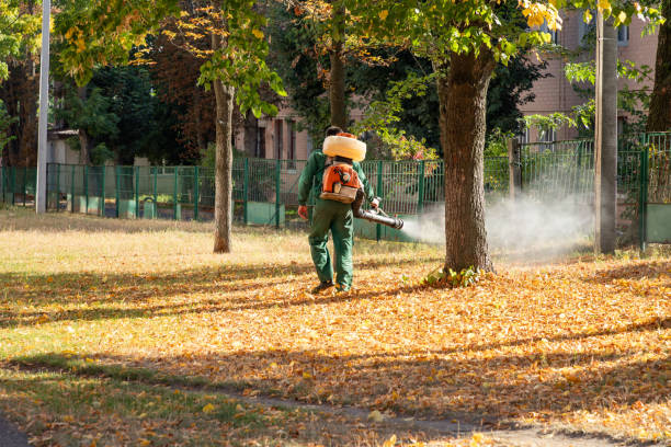 Best Pest Prevention Services  in Lake Placid, FL