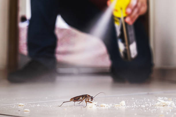 Trusted Lake Placid, FL Pest Control Experts